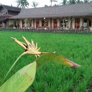 Rice Padi Artha Guest house Ubud (Bali)